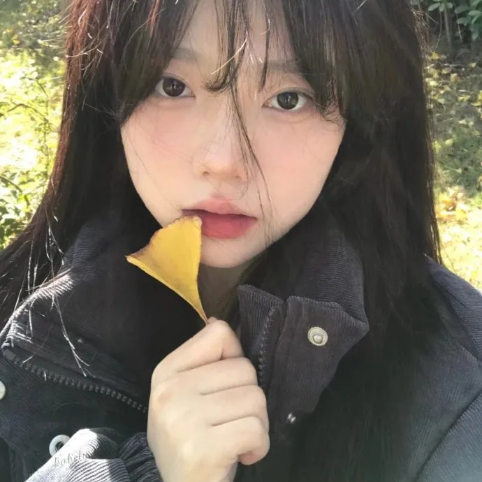 夜晚的莱奥